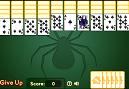 Spider Solitaire